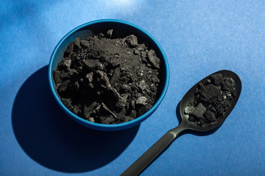 From Minerals to Energy: How Shilajit Supports Daily Vitality and Recovery