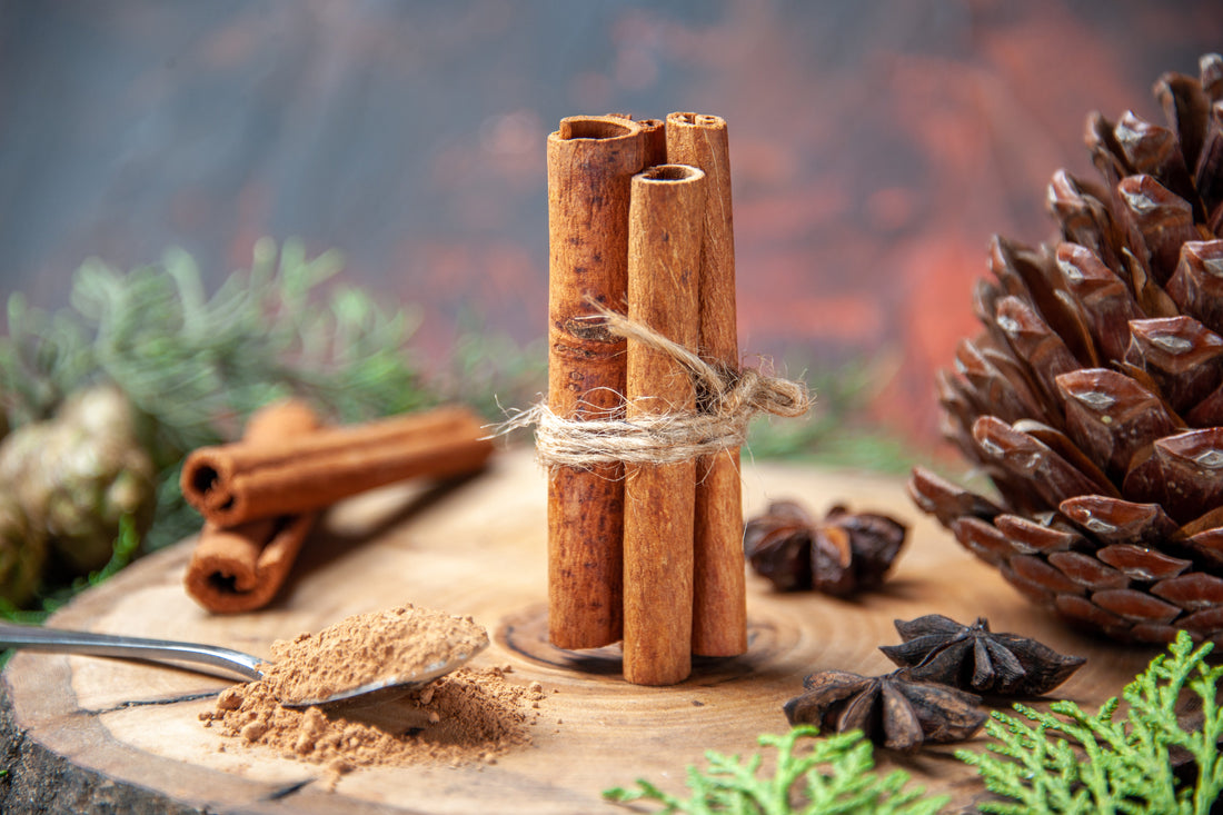 What Is Adaptogenic Stress and How Herbs Like Ashwagandha Help the Body Cope