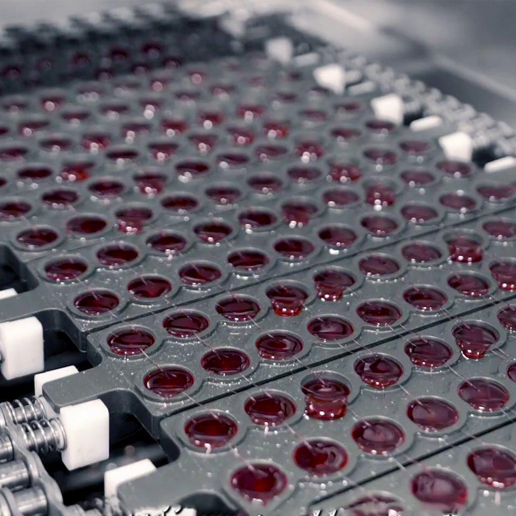 Rows of filled gummy molds on the line.