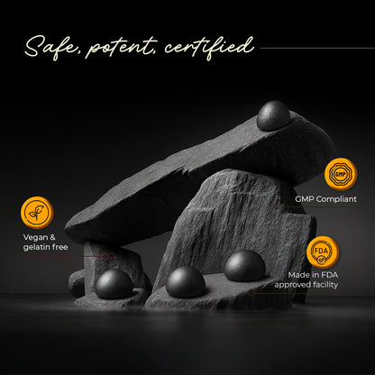 Himalayan Shilajit Gummies