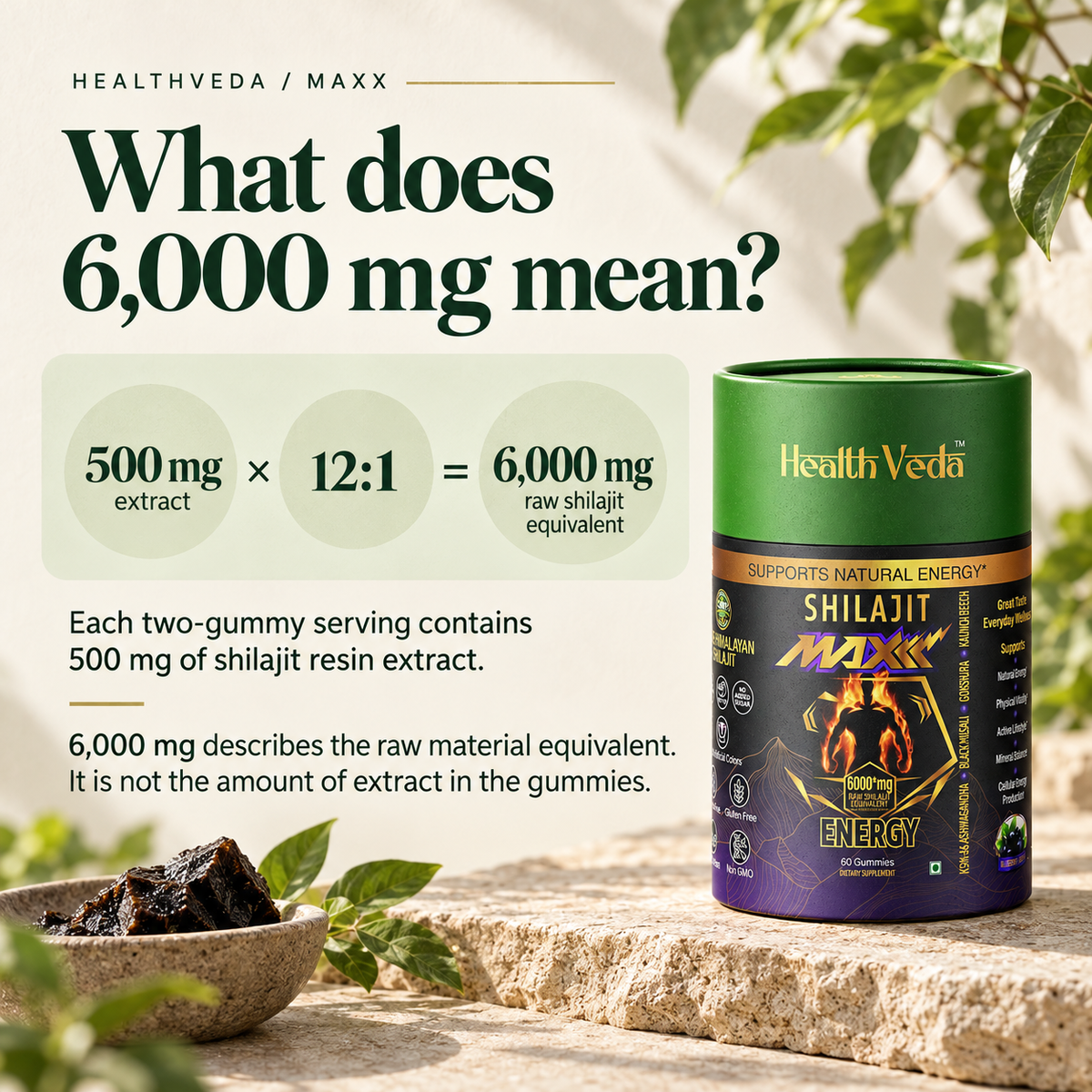 AI-created HealthVeda Maxx extract guide: 500 mg of 12:1 shilajit extract equals 6,000 mg raw shilajit equivalent per two-gummy serving.